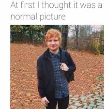Lift your spirits with funny jokes, trending memes, entertaining gifs, inspiring stories, viral videos. Ed Sheeran Memes