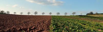We did not find results for: How To Use A Garden Tractor For Preparing Soil In The Vegetable Patch Oleomac