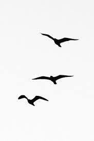 Bird In Flight Silhouette Image Result For Bird Flying Silhouette Seagull Tattoo Flying Bird Tattoo Birds Flying Away