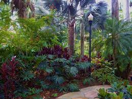 Pygmy date palms are typically the most popular palm for our area. Palm Trees With Nice Companion Plants Palm Trees Landscaping Outdoor Gardens Design Palm Garden