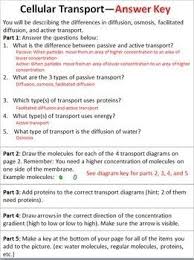 Cellular Transport Activity With Answer Key Cellular Answer Keys Activities