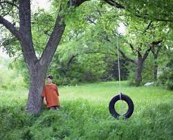 What Size Tree Limb Is Good For Hanging A Tire Swing Tire Swing Hanging Tire