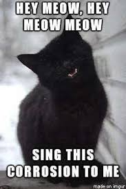 This Corrosion Kitty Post Goth Humor Sisters Of Mercy Kittens Funny