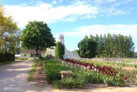 To 5 p.m.) at the traverse city tourism office at 101 west grandview parkway. Have You Been To The Traverse City Iris Farm Yet Grkids Com