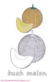 Dengan demikian, anda bisa mendapatkan bagian datar agar melon bisa diberdirikan dengan baik, dan bisa anda kupas lebih mudah. Buku Mewarnai Warna Gambar