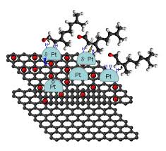 Image result for Aeollanthus myrianthus