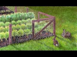And once they have a reliable food for added security, one two lines of electric fencing wire a few inches from the bottom edges of the fence will further deter rabbits from trying to find a. How To Keep Your Garden From Rabbits Youtube