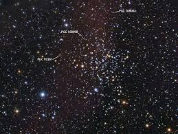 Open Cluster NGC 7142