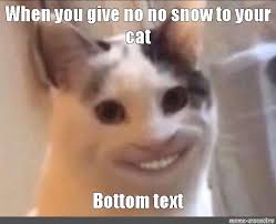 Meme When You Give No No Snow To Your Cat Bottom Text All Templates Meme Arsenal Com