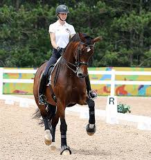 A Different Verdades At Pan American Games After Vet Check Clears All But One Horse American Games Horses Dressage