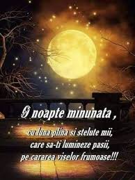 Noapte Bună Iubirica Te Pup Dulce Dulce Pană La Sange Ai Grija De Tine Romantic Couple Hug Good Night Babe Good Night
