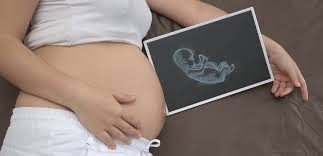 Perkembangan bayi di dalam kandungan sangat penting diketahui oleh ibu dan dokter. Manfaat Ultrasound Untuk Perkembangan Janin Johnson S Baby Indonesia