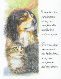 Click here to see the 30 greatest sympathy messages ever written for a loss of a pet. Veterinary Wisdom S81 Pet Sympathy Card
