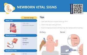 Image result for Vital Sign