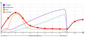 80 all inclusive progesterone range in pregnancy