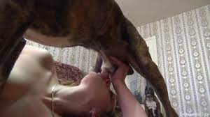 Wide-eyed amateur sucking dog cock on the floor