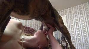 Suck dog cock