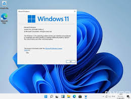 This should do the trick to install windows 11 on most computers in virtual. Windows 11 Leak Microsoft S Next Os Is Here Os Advice