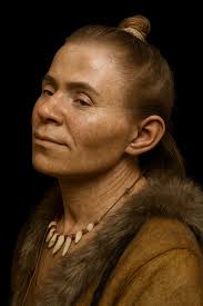 Fossil evidence of human evolution skull shapes?