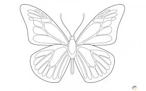 رسومات ورود وفراشات للتلوين