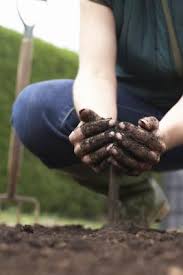 Lowering a soil's alkalinity level is possible with the help of elemental sulfur and organic materials. How To Reduce The Alkalinity Of Soil