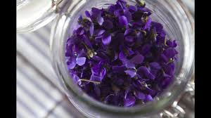 Information on picking squash blossoms. Making Perfume From Violets Enfleurage Fresh P Youtube