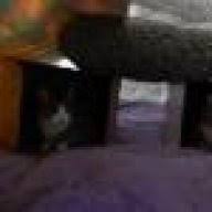 Bei chronisch breiigem stuhlgang kann die ursache ein reizdarm oder eine andere darmerkrankung, wie morbus crohn sein. Breiiger Kot Ursachenforschung