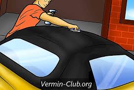 Le fort pouvoir déperlant du traitement empêchera l'eau et. Comment Garder Le Toit Souple De Votre Decapotable 2021 Des Articles