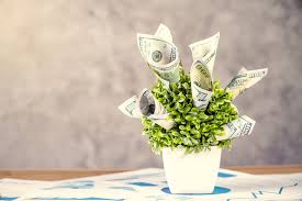 Für einen schmetterling benötigst du zwei geldscheine der gleichen größe. How To Invest Your First 1 000 Investing 101 Us News