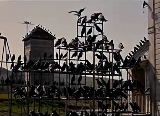 The Birds (1963) | One of Hitchcock's Worst — Dagon Dogs