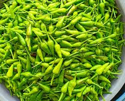 So kene banyak makan cili pasni ok :p ikan selar masak cili padi hai, hari ini saya kongsikan cara masak ikan selar masak cili padi mudah dan sedap. Anim Agro Technology Usahawan B40 Cili Centil Di Muar