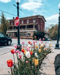 Warwick Ny A Complete Guide By A Local Ny To Anywhere In 2020 Warwick New York Warwick Warwick Ny