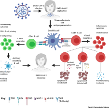 Deciphering The Tcr Repertoire To Solve The Covid 19 Mystery Trends In Pharmacological Sciences