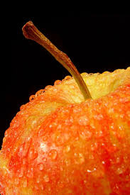 Check out this fantastic collection of original iphone wallpapers, with 57 original iphone background images for your desktop, phone or tablet. Apple Mobile Wallpaper 4k 640x960 Wallpaper Teahub Io