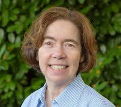 Former legislator Mary Nolan announces for the Metro Council