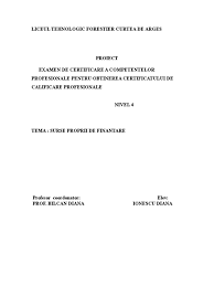Surse proprii de finanţare ale unei afaceri. Atestat Surse Proprii De Finantare