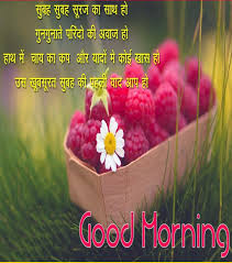 We have collected 30+ best beautiful good morning images in hindi and english font language with good morning shayari, quotes. Fresh Very Good Morning Images In Hindi 100 Download Good Morning