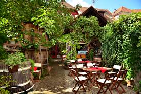 Walnuss Teegarten