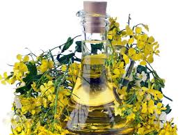 Mustard oil is also a rich source of antioxidants consuming a teaspoon of mustard oil and honey helps in various respiratory problems. How To Use Mustard Oil For Hair Care Boldsky Com