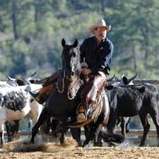 50 Cool Schools (And More)