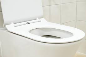 500 pounds is the minimum weight limit requirement for wall hung toilets and it is set by the us asme national consensus standards. Toilet Weight Limits How Much Weight Can A Toilet Hold Dc Evironmental Network
