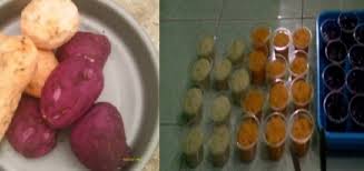 We did not find results for: Kreatifitas Ice Cream Ubi Jalar Ipomoea Batatas Puris Sebagai Bentuk Life Skill Remaja Jurnal Riset Daerah