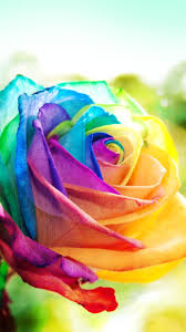 We hope you enjoy our growing collection of hd images to use as a background or home screen for your smartphone or computer. 20 New Iphone 6 6s Wallpapers Backgrounds In Hd Colorful Cool Wallpapers For Girls 750x1334 Download Hd Wallpaper Wallpapertip