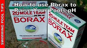 How To Use Borax To Raise The Ph In Your Pool How Much Borax To Add Pool Care Pool Cleaning Cloudy Pool Water