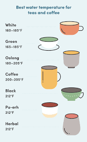 79 Bright Tea Temperature Chart