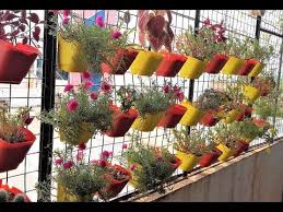 Pin On Container Plants