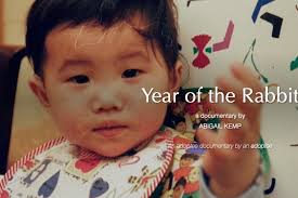 Fundraiser by Abigail Kemp : Year of the Rabbit