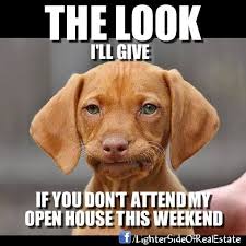 Real Estate Funnies With Scudo Realty Property Management If It S Real Estate We Ve Got You Covered Www Scudore Funny Animals Bones Funny Funny Pictures