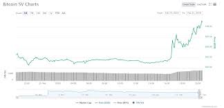 Bitcoin Sv Bsv Surges By 12 63 Receives Support From