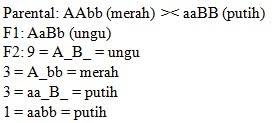 Komponen biotik dan abiotik pantai mengandung banyak manfaat. Contoh Soal Essay Tentang Ekosistem Dan Jawaban